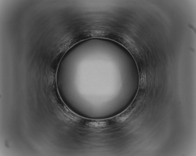 X0000094970367200712131500