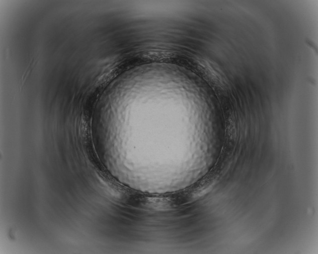 X0000094970371200712131500