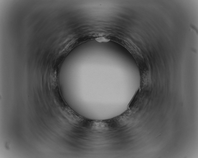 X0000094970376200712131500