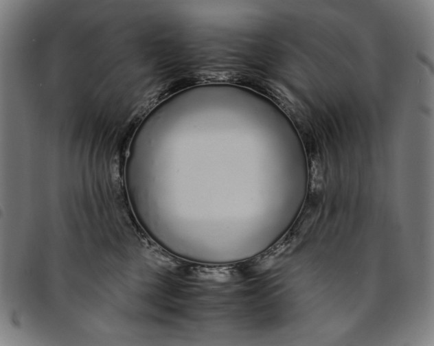 X0000094970377200712131500