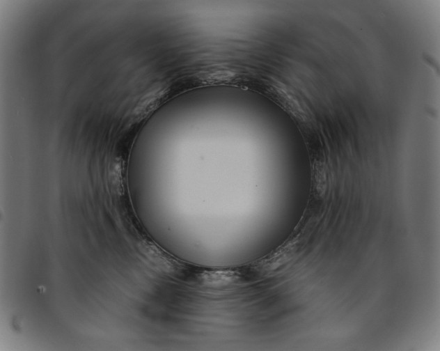 X0000094970378200712131500