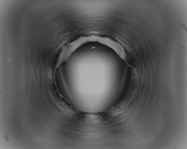 X0000094970380200712131500