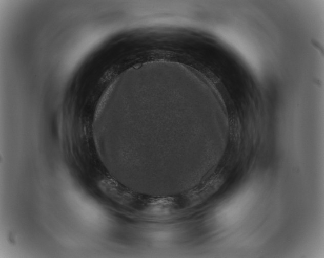 X0000094970382200712131500