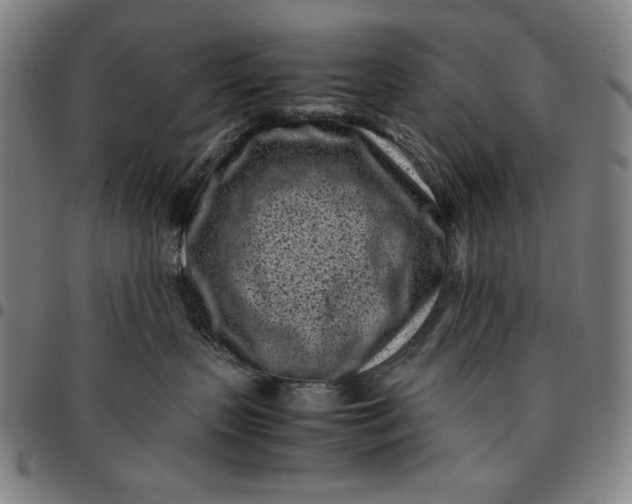 X0000094970383200712131500