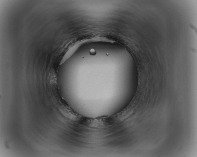 X0000094970384200712131500