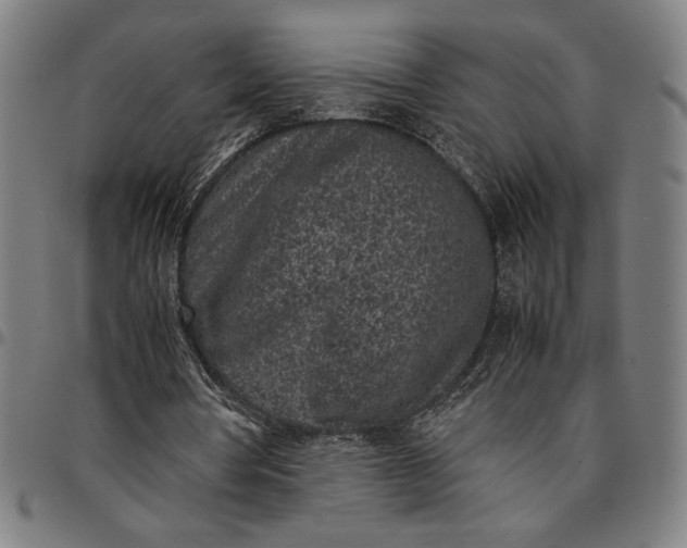 X0000094970386200712131459