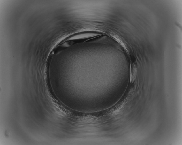 X0000094970387200712131459