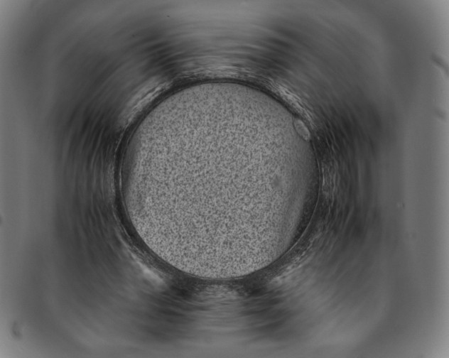 X0000094970390200712131459