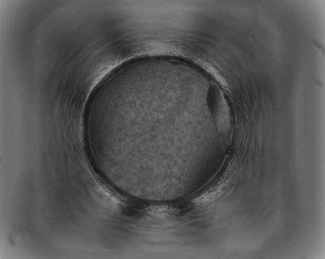 X0000094970391200712131459