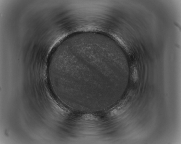 X0000094970392200712131459