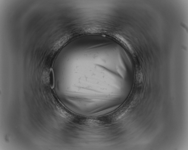 X0000094970393200712131459