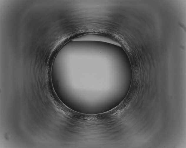 X0000094970395200712131459