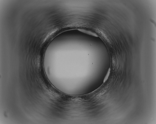 X0000094970396200712131459