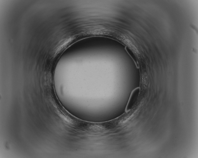 X0000094970397200712131459