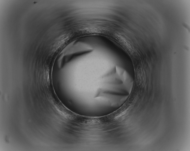 X0000094970398200712131459