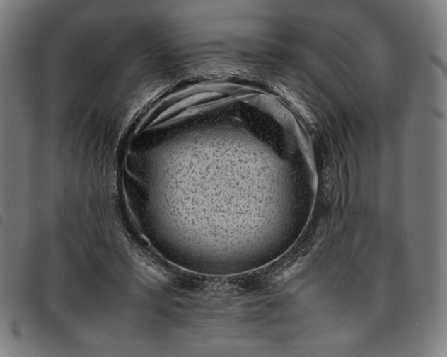 X0000094970399200712131459