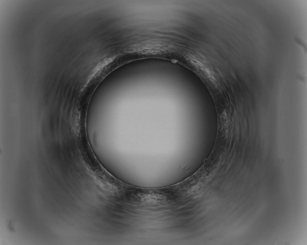 X0000094970400200712131459