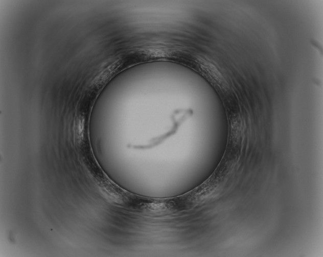 X0000094970406200712131459