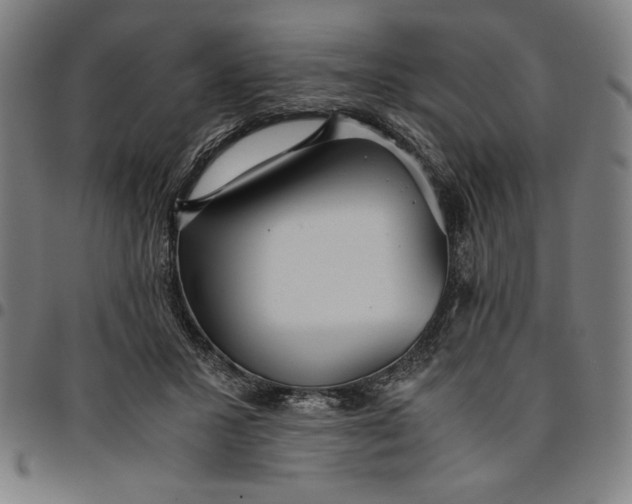 X0000094970407200712131459