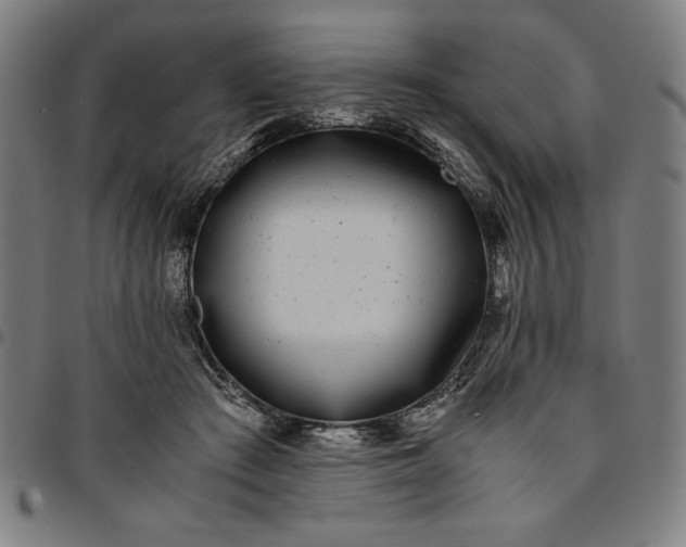 X0000094970409200712131459