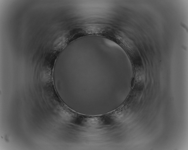 X0000094970411200712131459