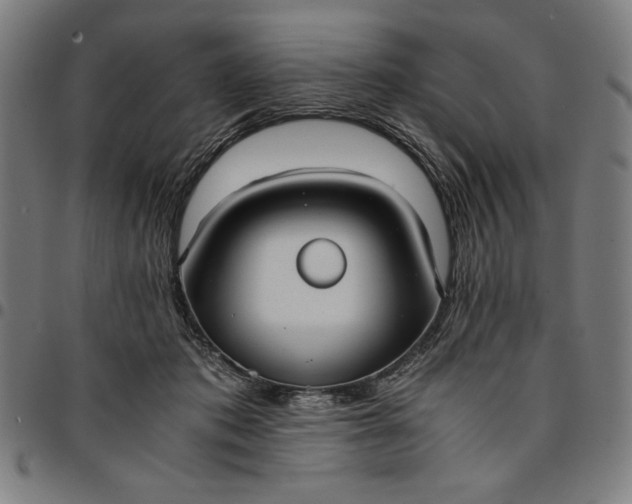 X0000094970413200712131459