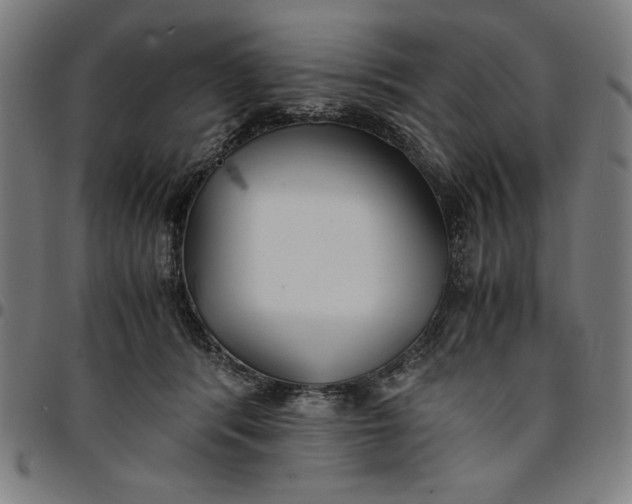 X0000094970416200712131459