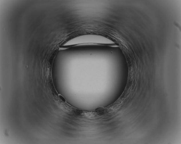 X0000094970417200712131459