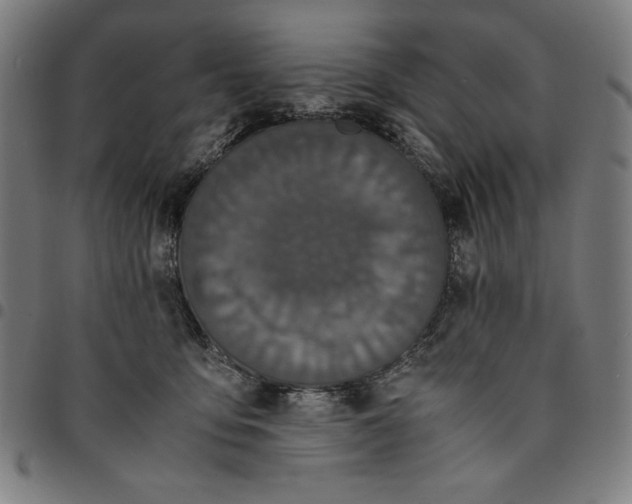 X0000094970419200712131459