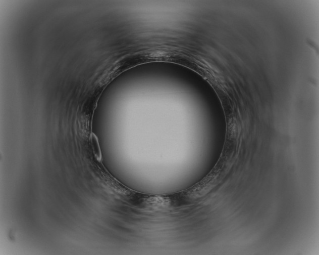 X0000094970421200712131459