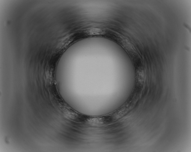 X0000094970422200712131459