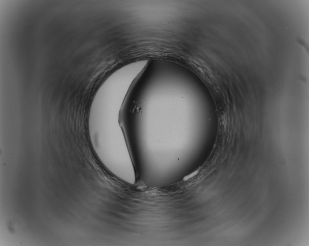 X0000094970423200712131459