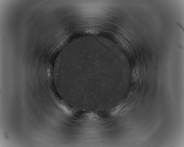 X0000094970424200712131459