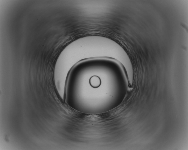 X0000094970427200712131459