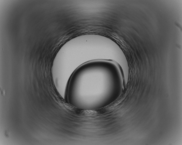 X0000094970429200712131459