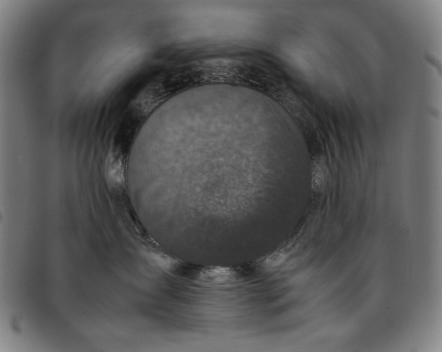 X0000094970431200712131459