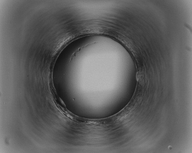 X0000094970434200712131458