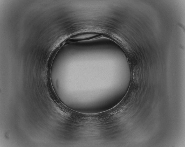 X0000094970436200712131458