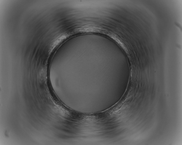 X0000094970438200712131458