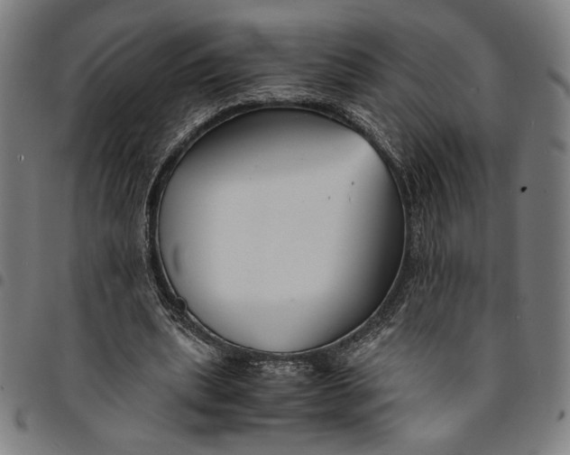 X0000094970439200712131458