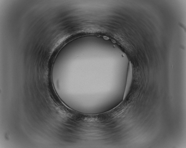 X0000094970440200712131458