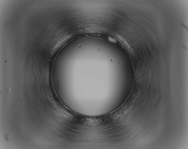 X0000094970442200712131458