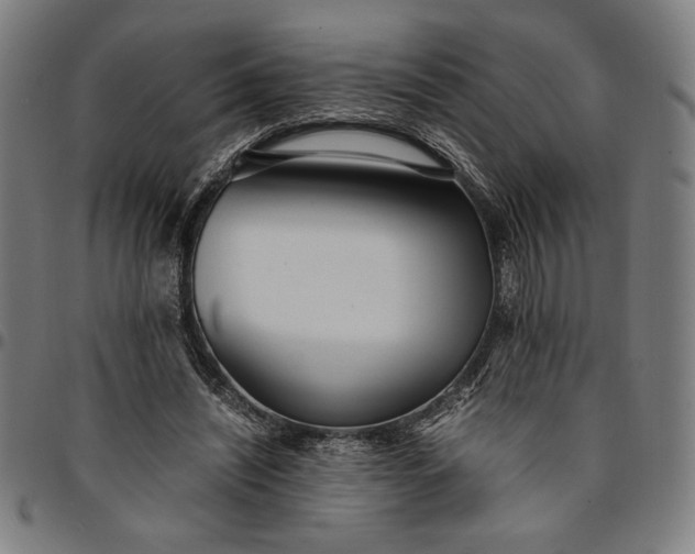 X0000094970444200712131458