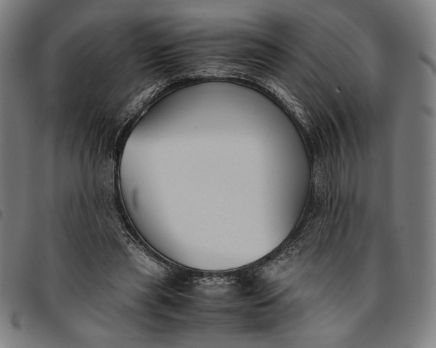 X0000094970445200712131458