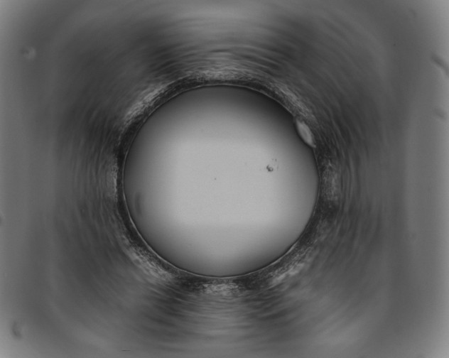 X0000094970446200712131458