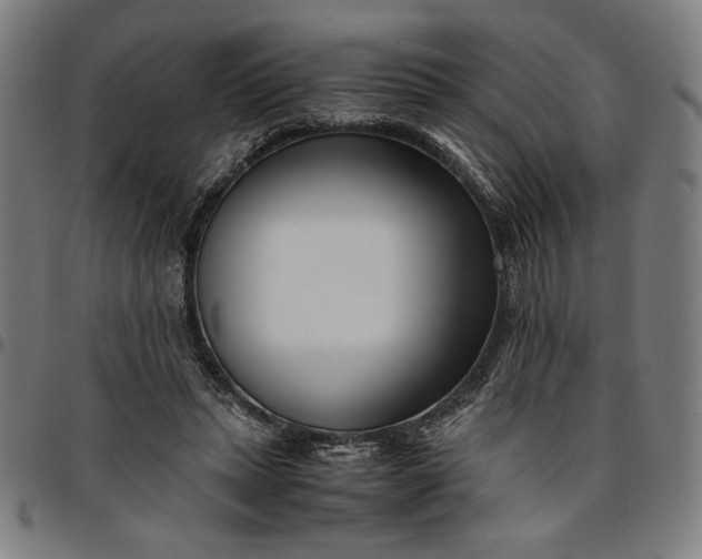 X0000094970447200712131458