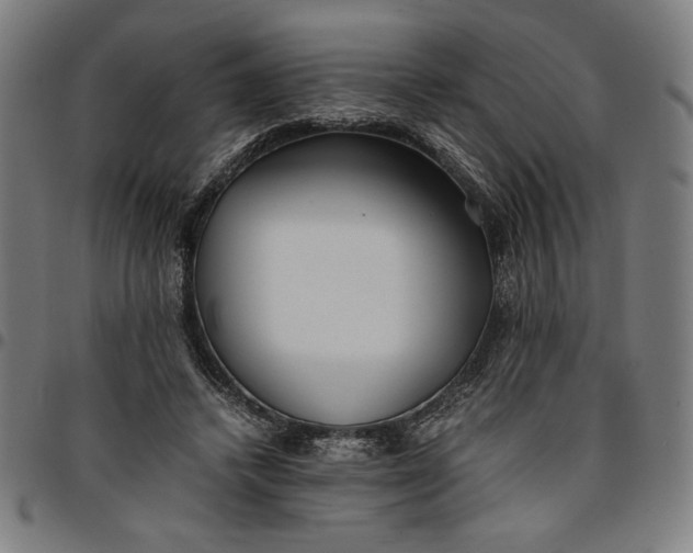 X0000094970448200712131458