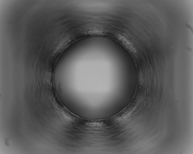 X0000094970449200712131458