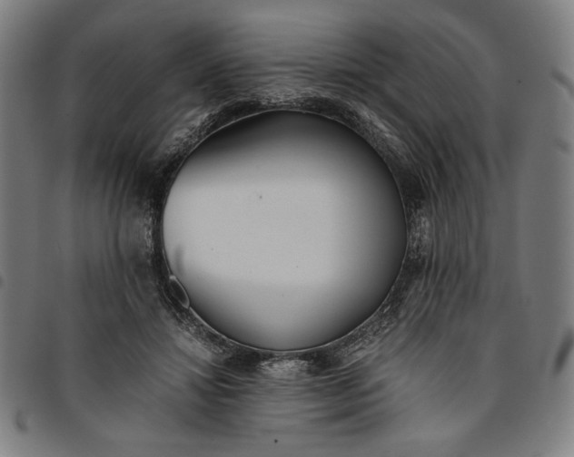 X0000094970452200712131458