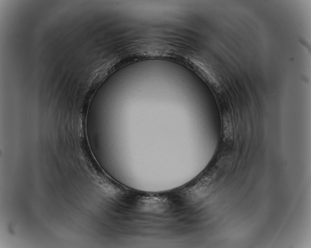 X0000094970453200712131458